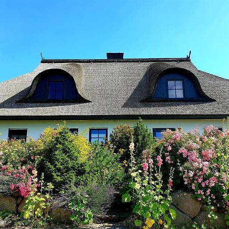 Insel Landhaus Bernstein Villa Gager Exteriör bild