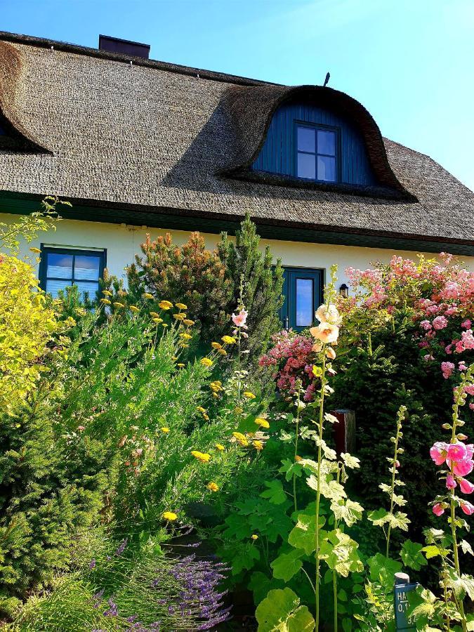Insel Landhaus Bernstein Villa Gager Exteriör bild